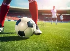 老端游玩家,年坚持不躺,探寻进化之,百家乐视讯,百家乐直播,真人百家乐,在线百家乐,直播平台,百家乐平台