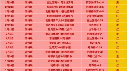 纽卡斯托状态火热，巅峰对决即将上演！纽卡斯托VS布里斯班，激情碰撞一触即发！